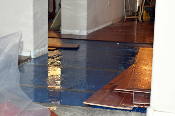 Professional Water Damage Restoration technician working in Waldron, WA
